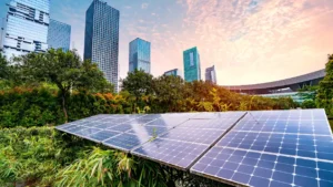 Sustainable Image